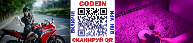 Купить закладки  Ермолино  Codein Purple Drank 