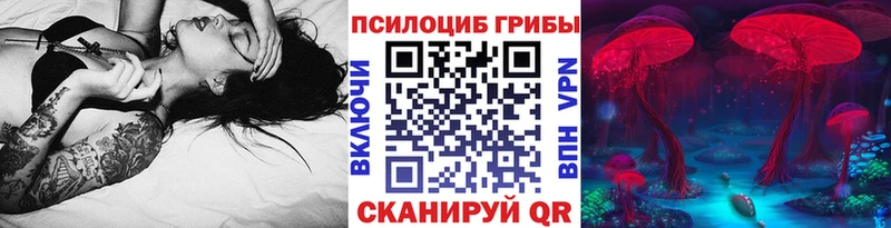 Купить  Ермолино  Псилоцибиновые грибы Psilocybe 